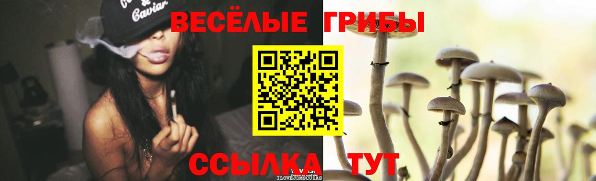 Унеча  Галлюциногенные грибы Magic Shrooms  Вход с VPN 